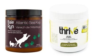 Best kelp supplement for clearance dogs